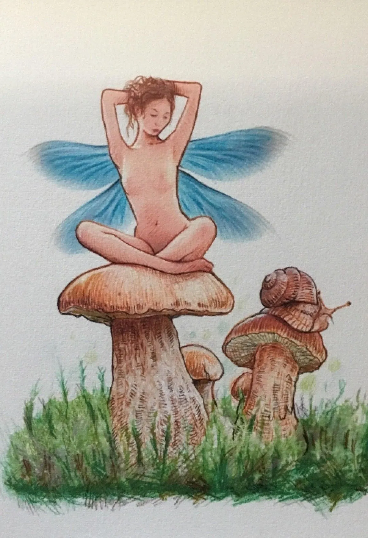 CHERRY, artwork by Terry O'Meher