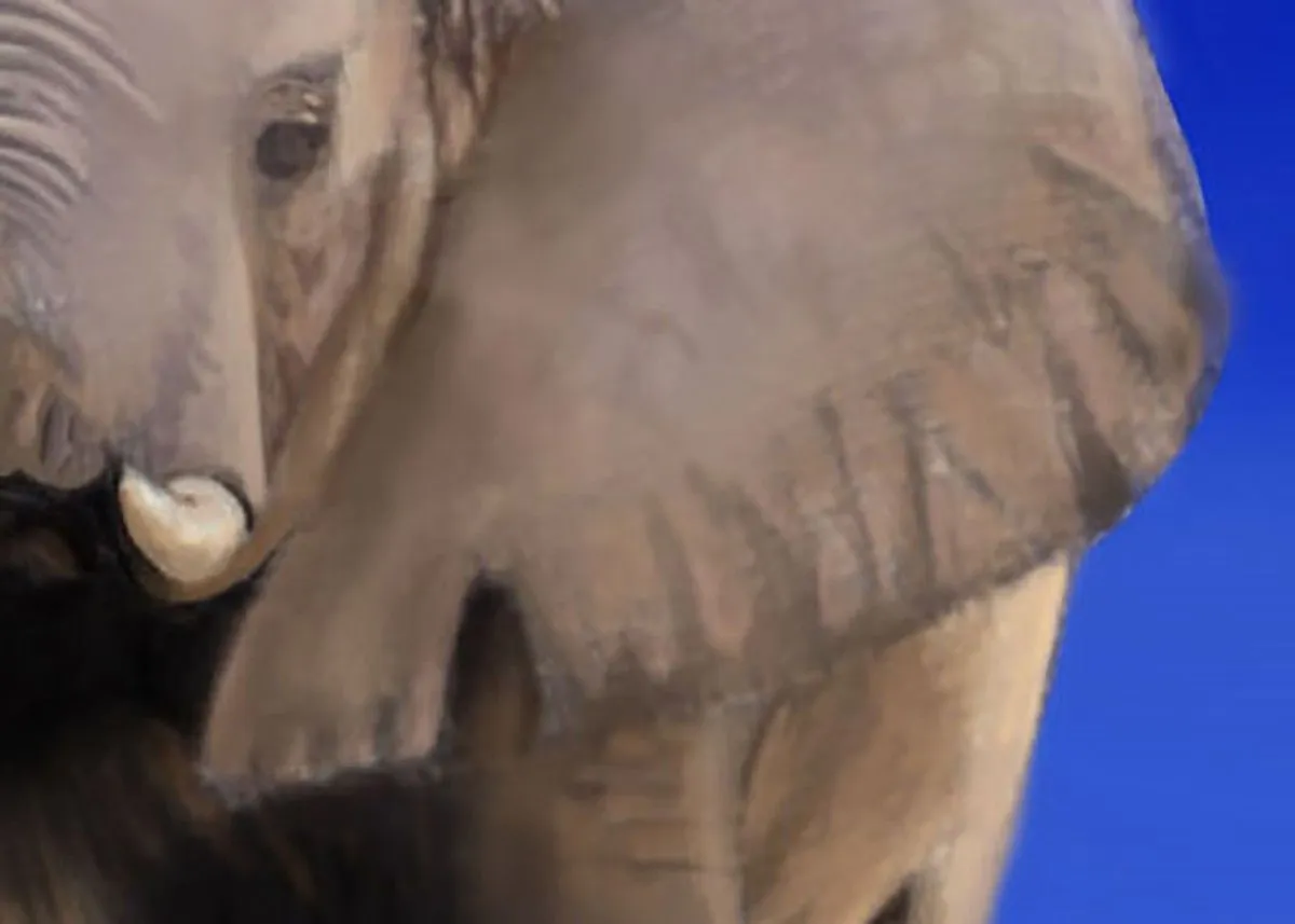 Elephant, œuvre de Sabrina Scantlebury