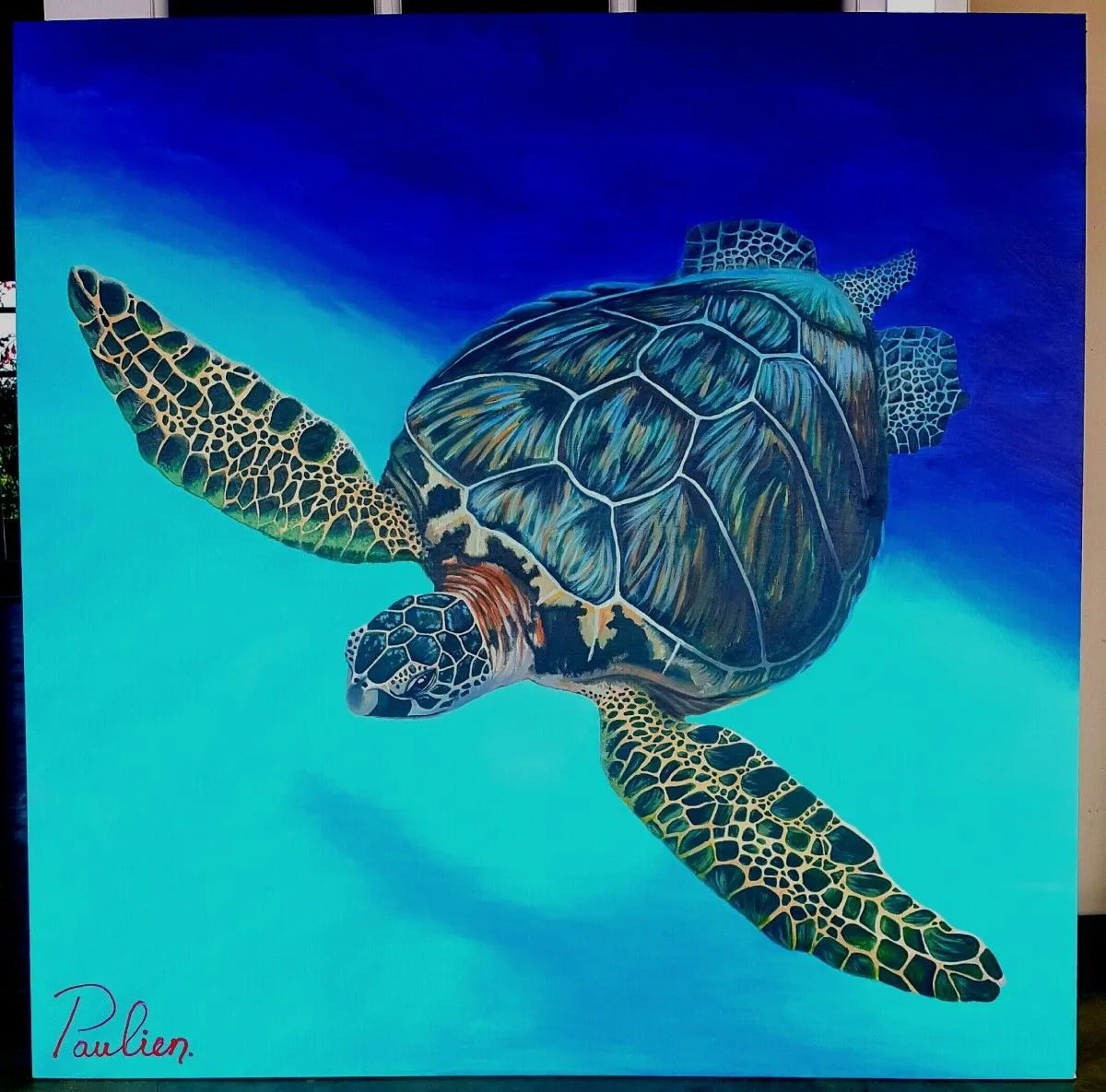 'Frank', SeaTurtle by Paulien Knip- de Boer, artwork by Paulien Knip-de