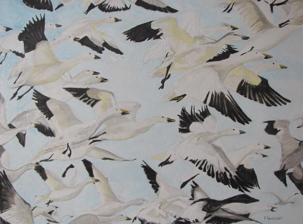 The Snow Geese, œuvre de Francois Fournier