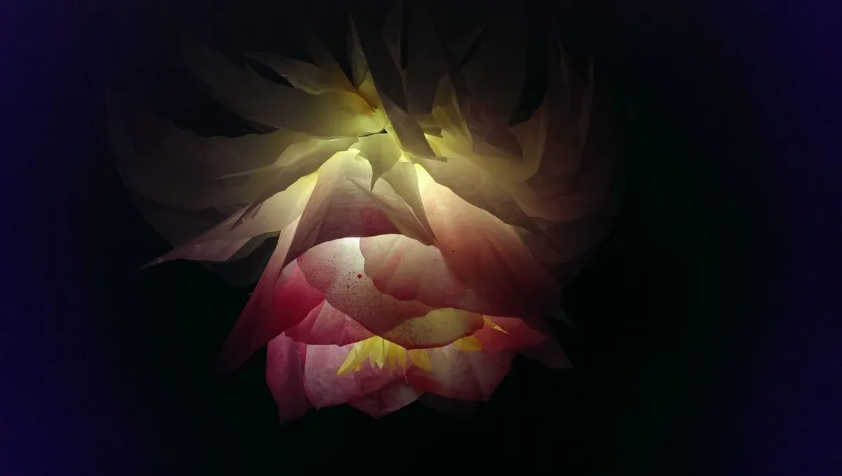 Soft Light, œuvre de Ventsislav Georgiev