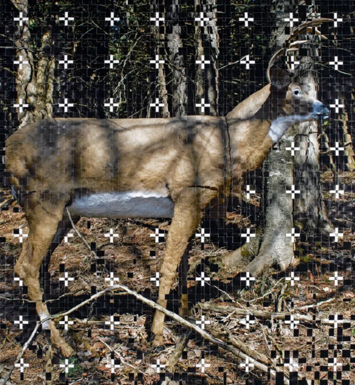 Deer Plastic, œuvre de martin rondeau