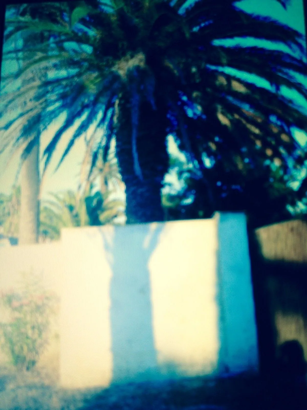 Porquerolles, œuvre de Nicole Grenot