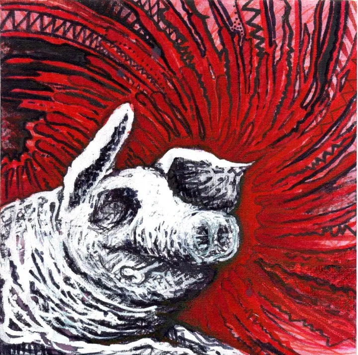 pig, œuvre de Fot Trasan