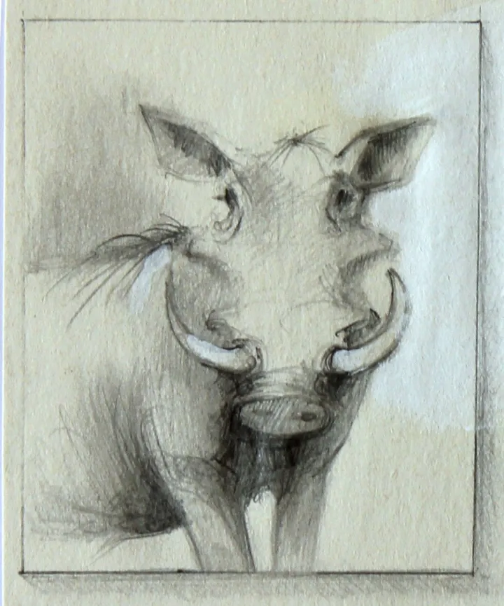 PHACOCHERE, artwork by Jean Bessat