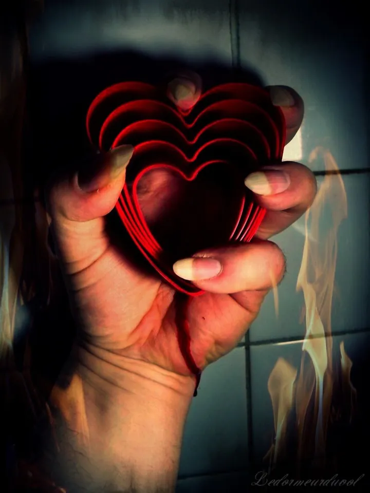 Burning Hearts, œuvre de Le Dormeur Du Vol
