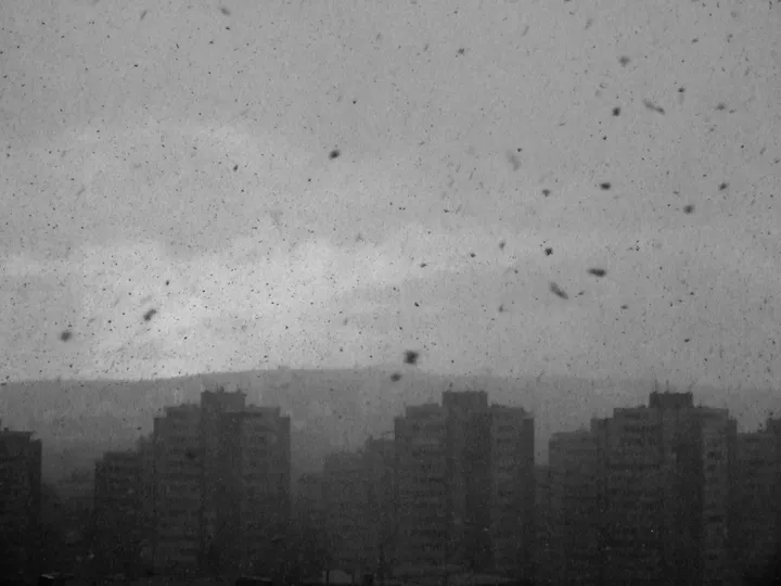 moods, grains and other miracles, œuvre de Nebojsa Djokic