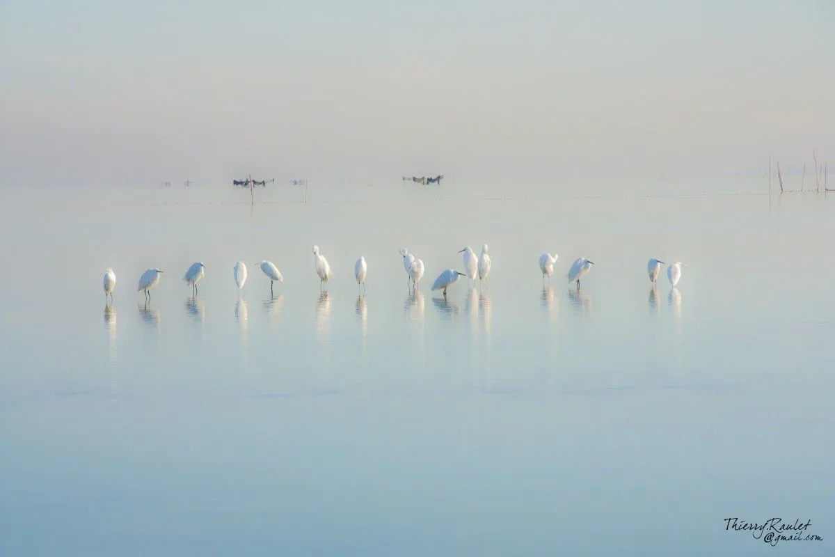 Etang de l'or (Hérault, France), œuvre de Thierry Raulet