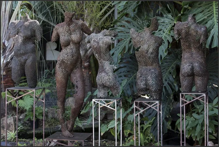 Les Vénus, œuvre de Dijoux georges Digema