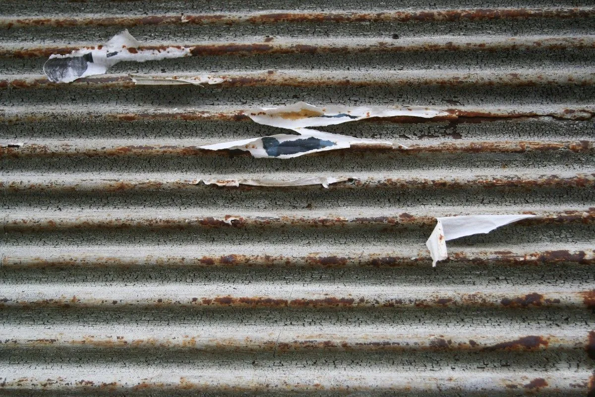 Traces, artwork by Miranda Legovi?