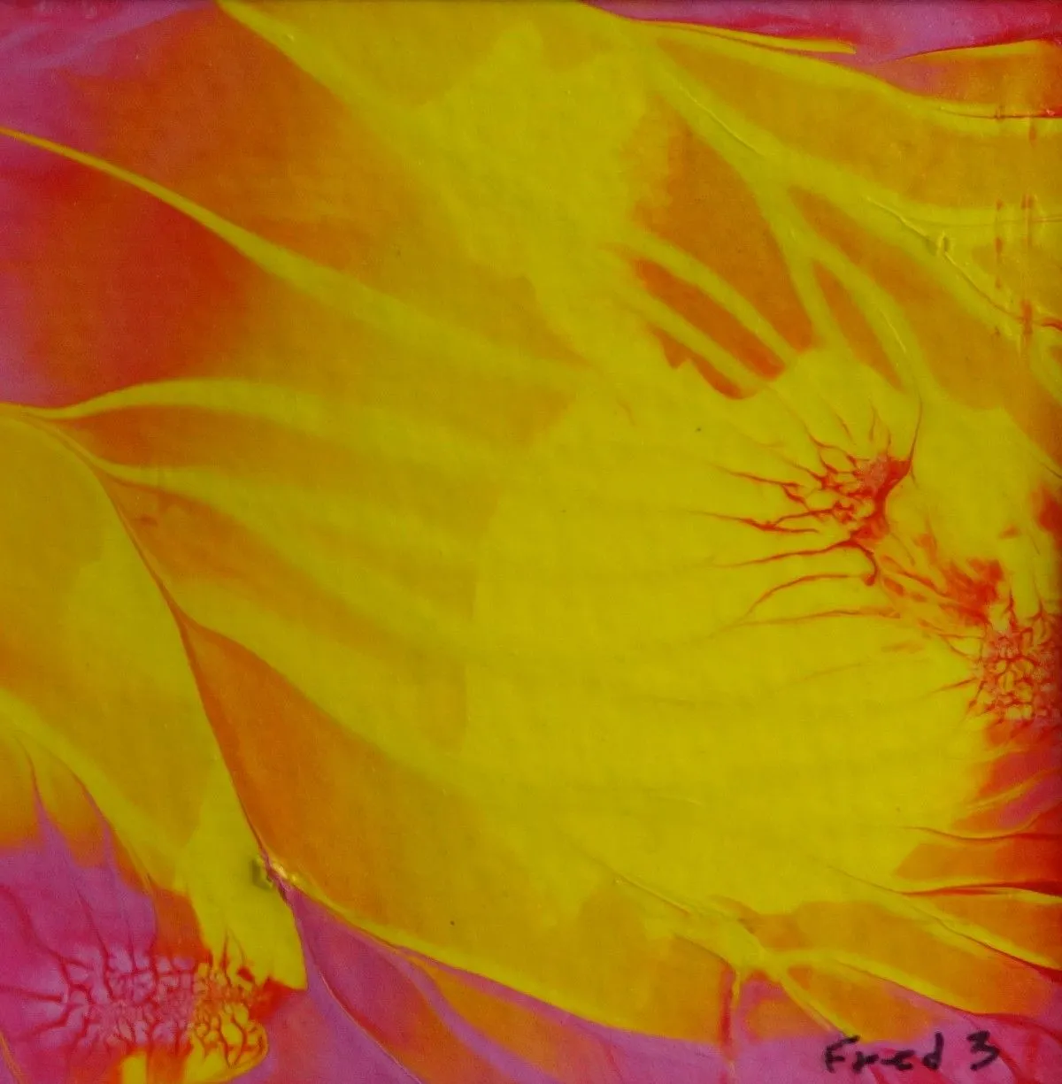 Sunstreams, œuvre de fred wilson 3