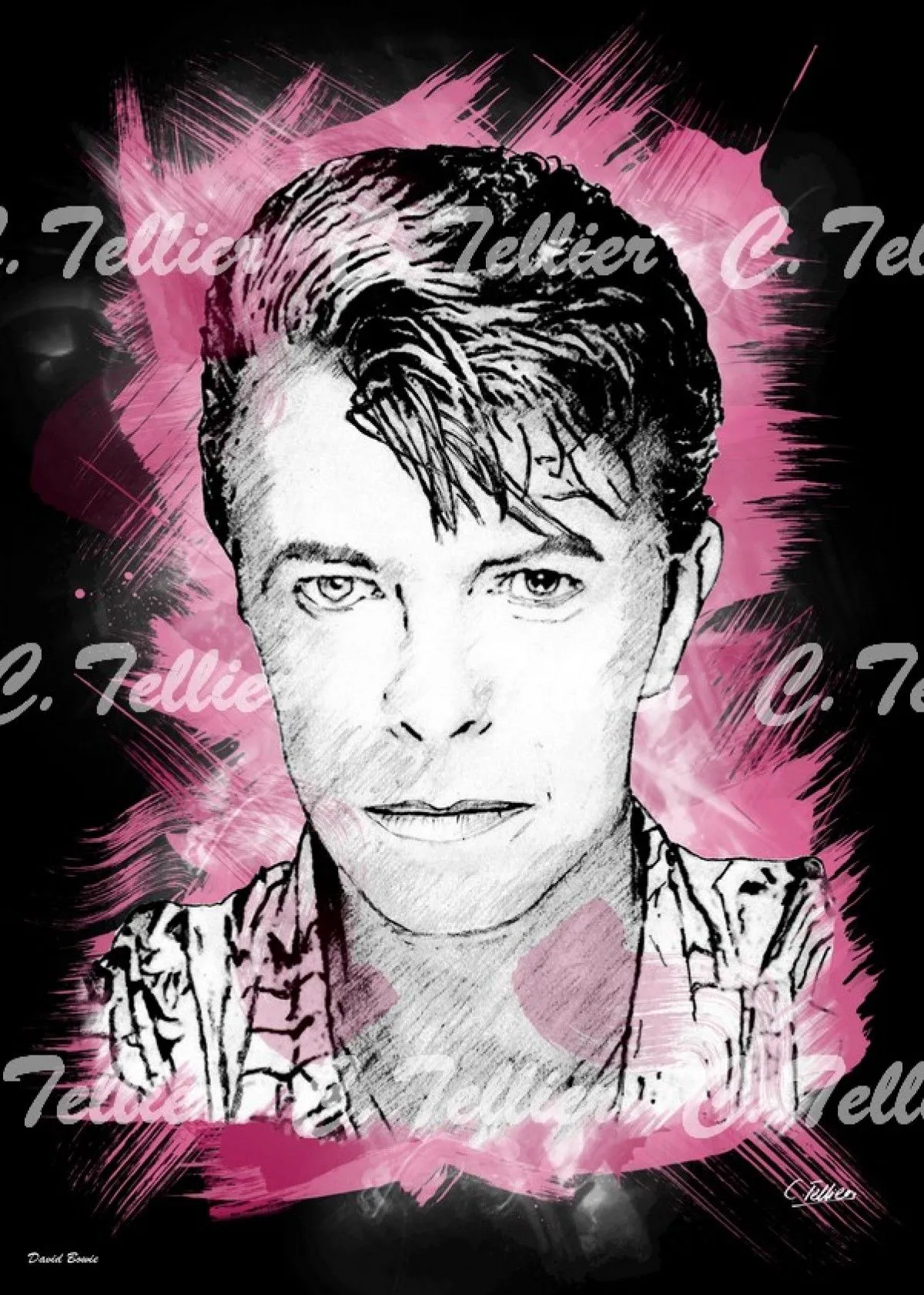 David Bowie, œuvre de Tellier Christophe