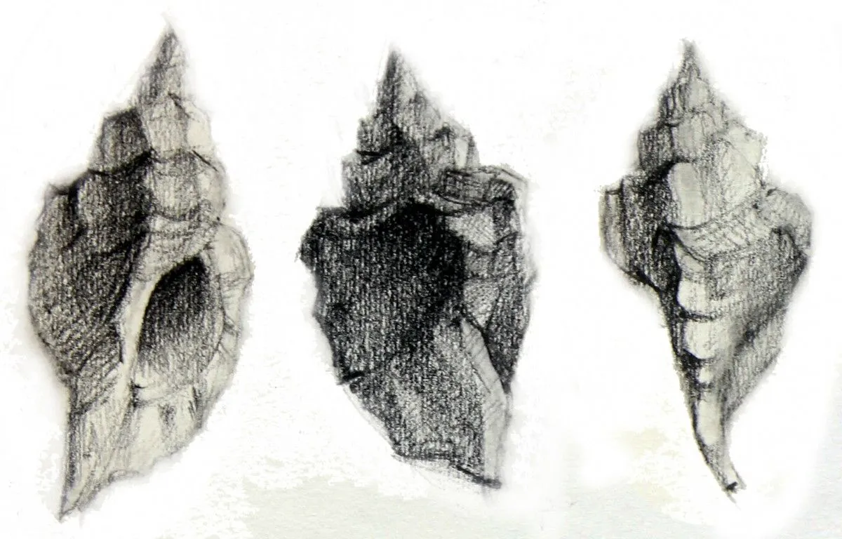 COQUILLAGES - SHELLS, œuvre de Jean Bessat
