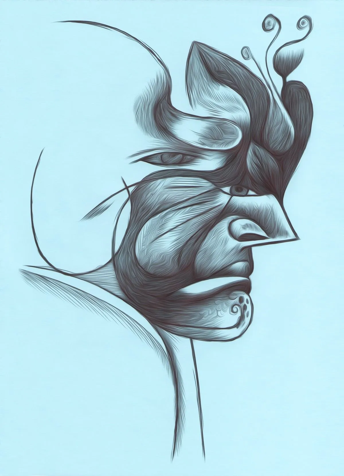 ö, œuvre de Laura H