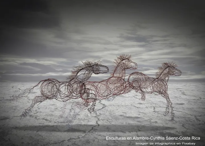 Metamorphosis, œuvre de cynthia saenz