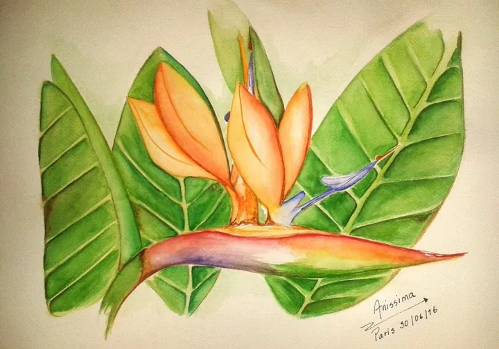 AVES DEL PARAISO, œuvre de Ana V