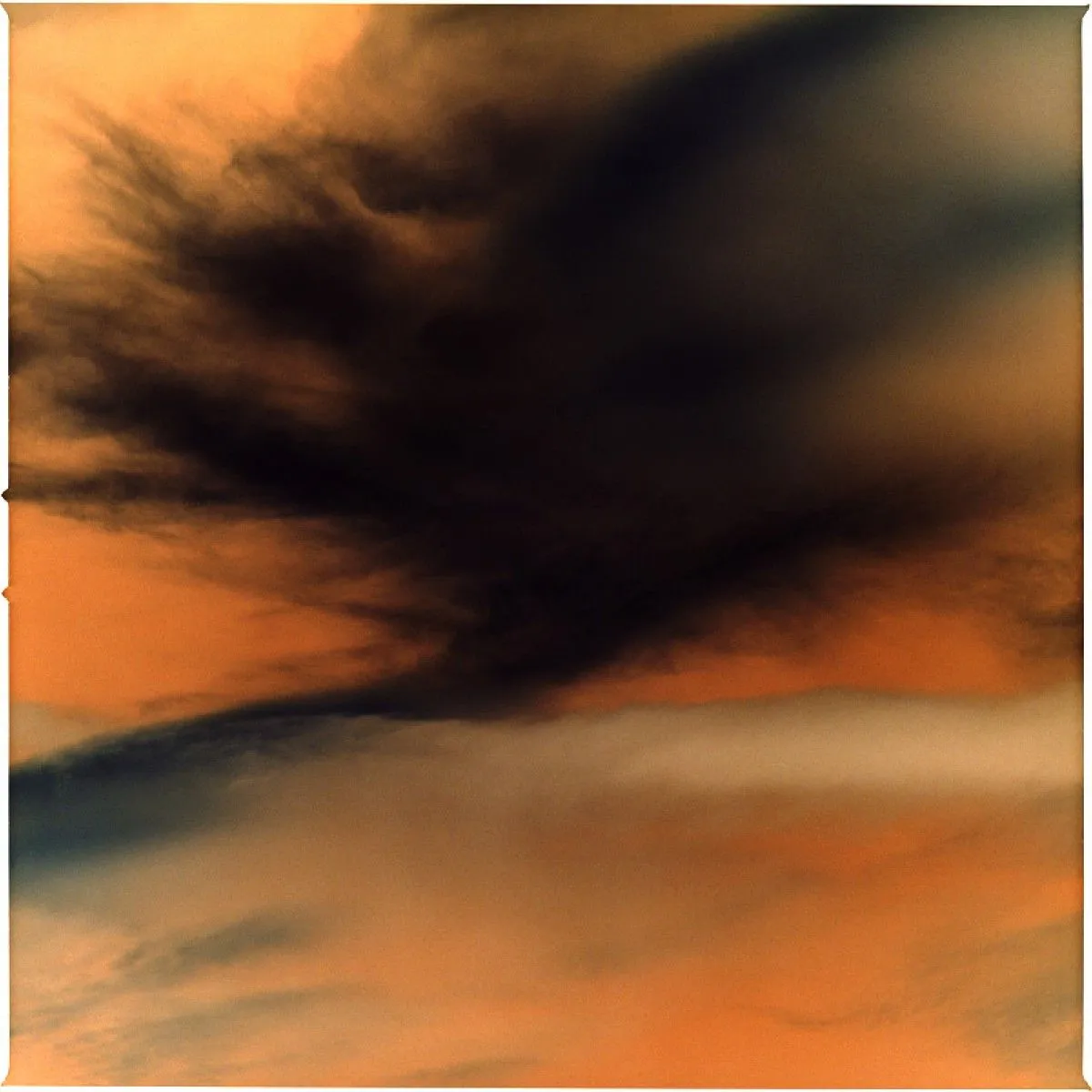 the idea brewed # tree, œuvre de Morihiro Tsubokura