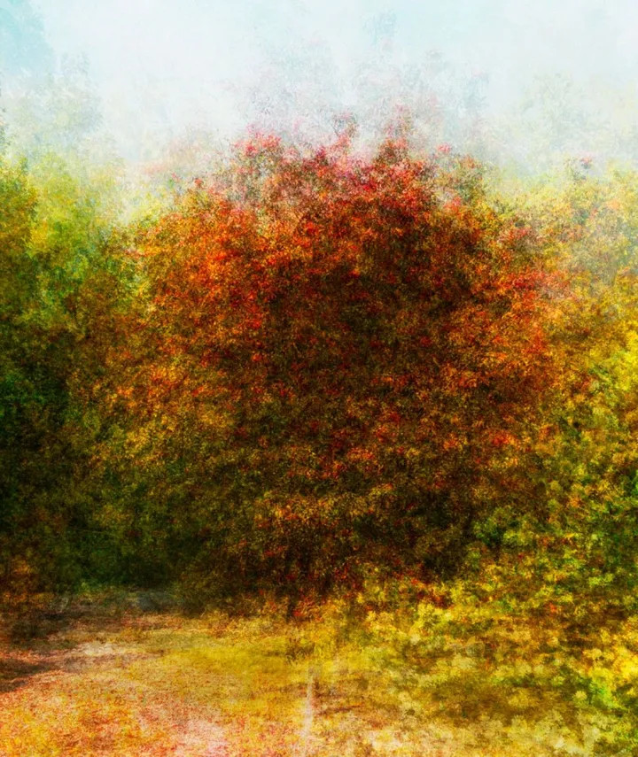 Fruits_rouge, artwork by Eric Villeneuve