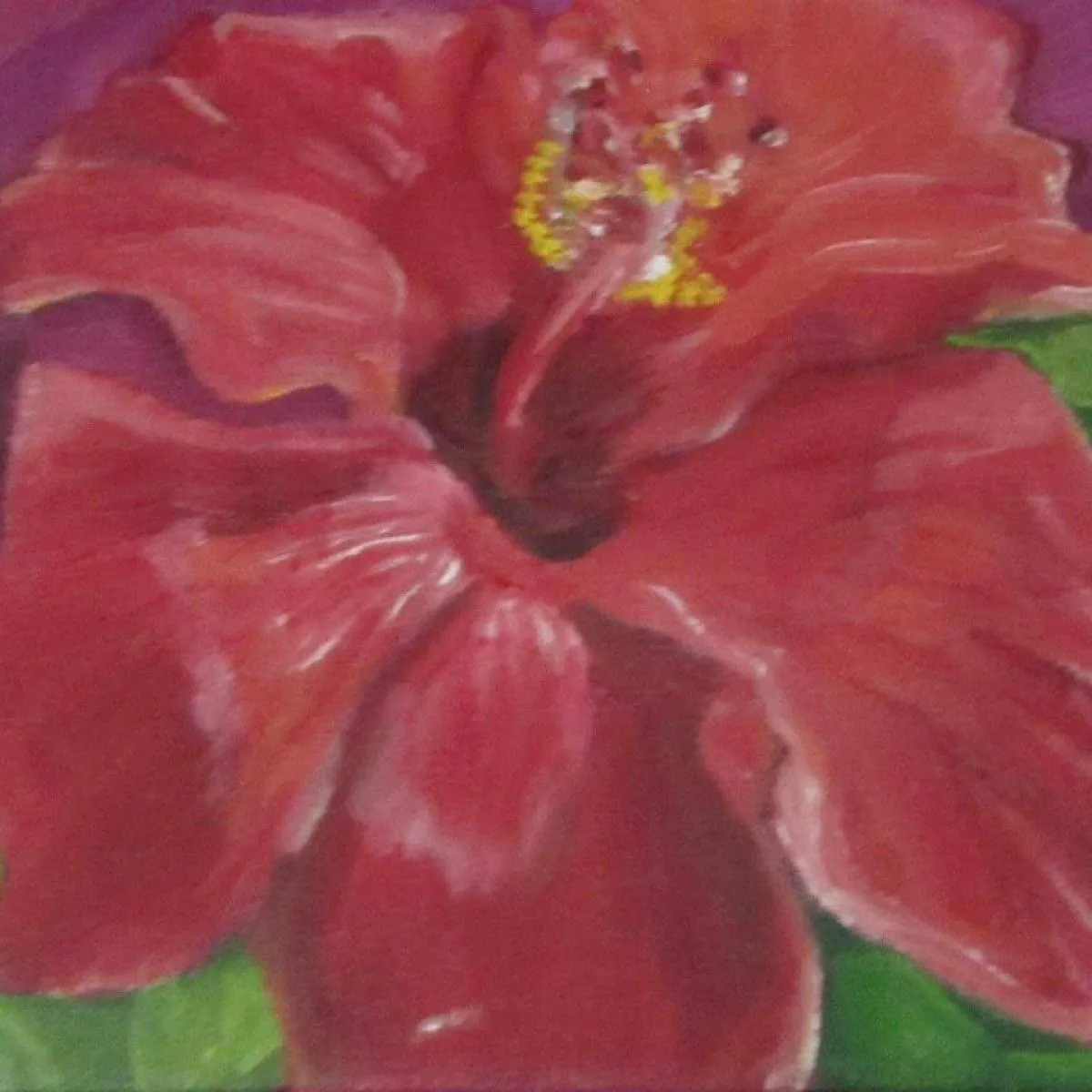 Red Hibiscus, artwork by Ligia Moya