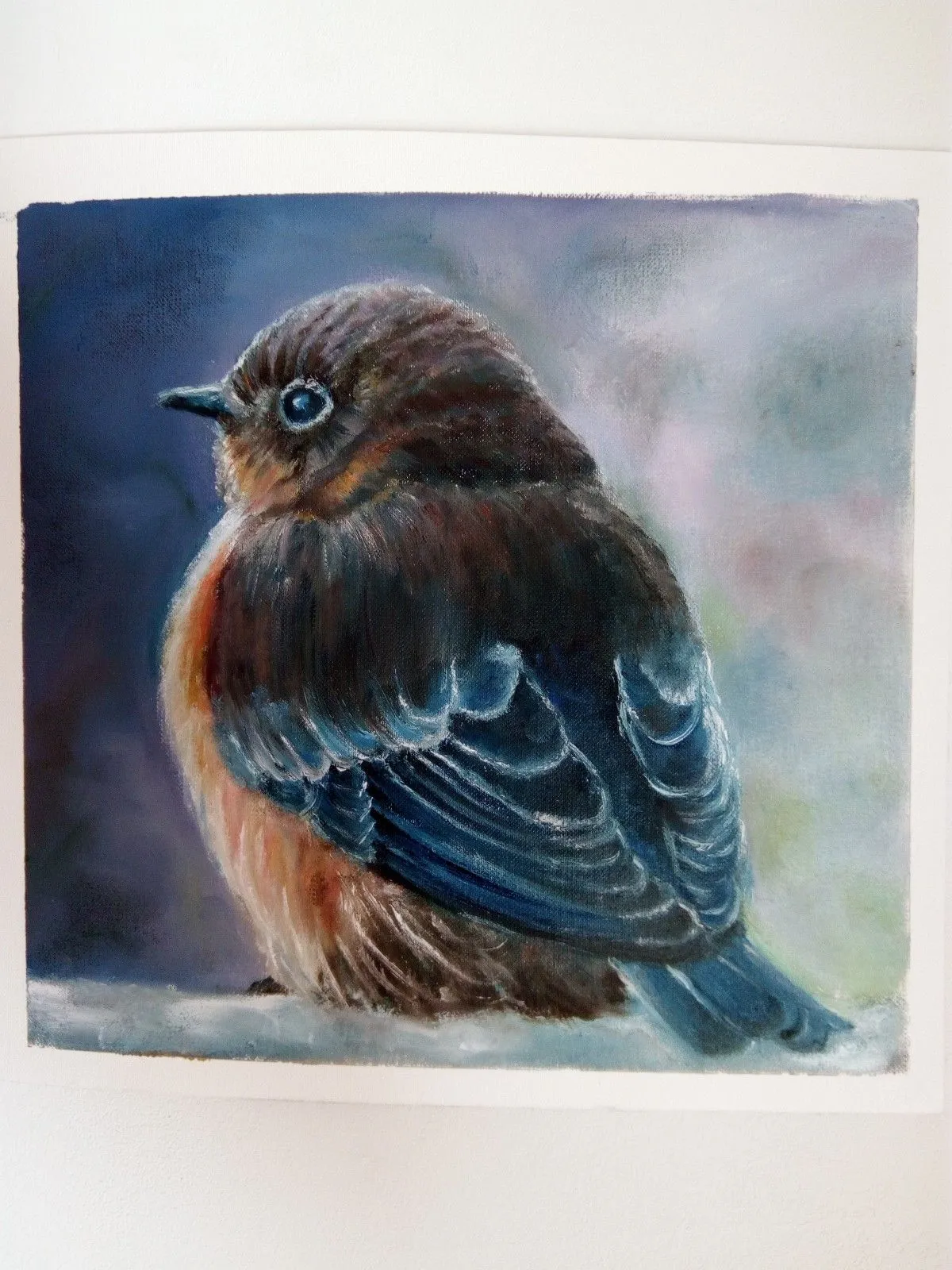 little bird, œuvre de JELA DUI?