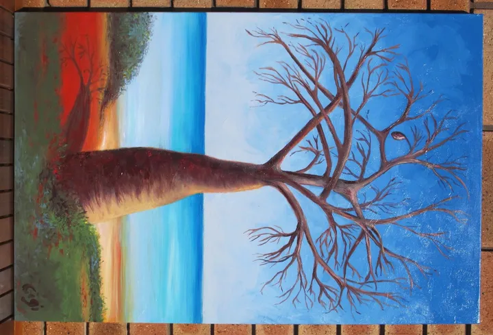 Broome Boab, œuvre de Gigi Sperinck