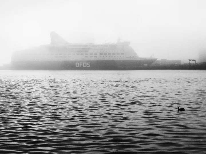 SCANDI VESSELS 2, œuvre de NUNO MEIRA