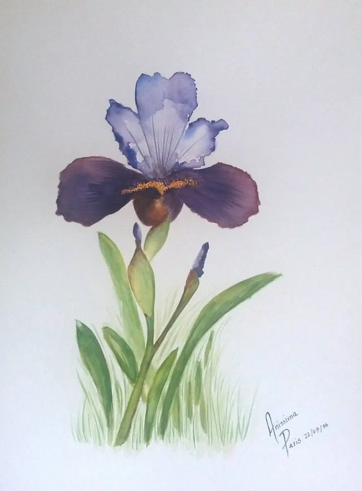 LIRIO, œuvre de Ana V
