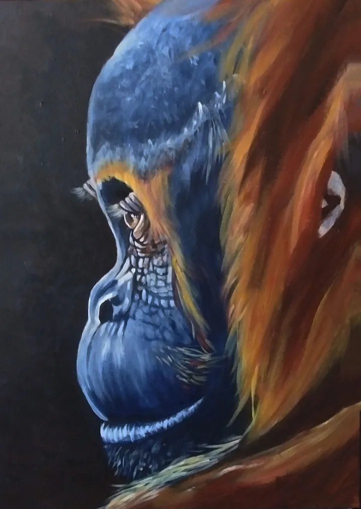 Baby Orang-outan, œuvre de Lucie Theroux