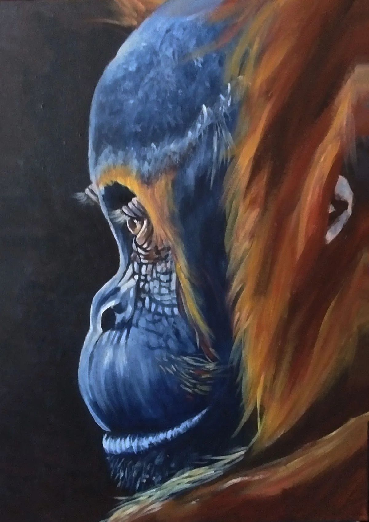 Baby Orang-outan, œuvre de Lucie Theroux