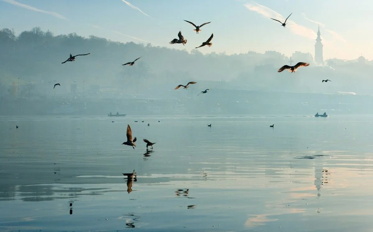 Belgrade Daybreak - Photography on Canvas - Limited Edition #6/9, œuvre de Art Zamur