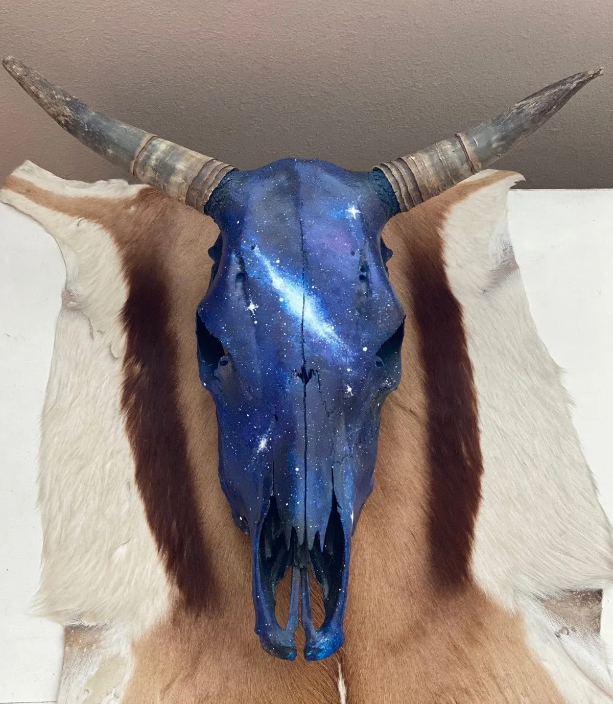 Inter-skull-actic, œuvre de Tara Vaccaro