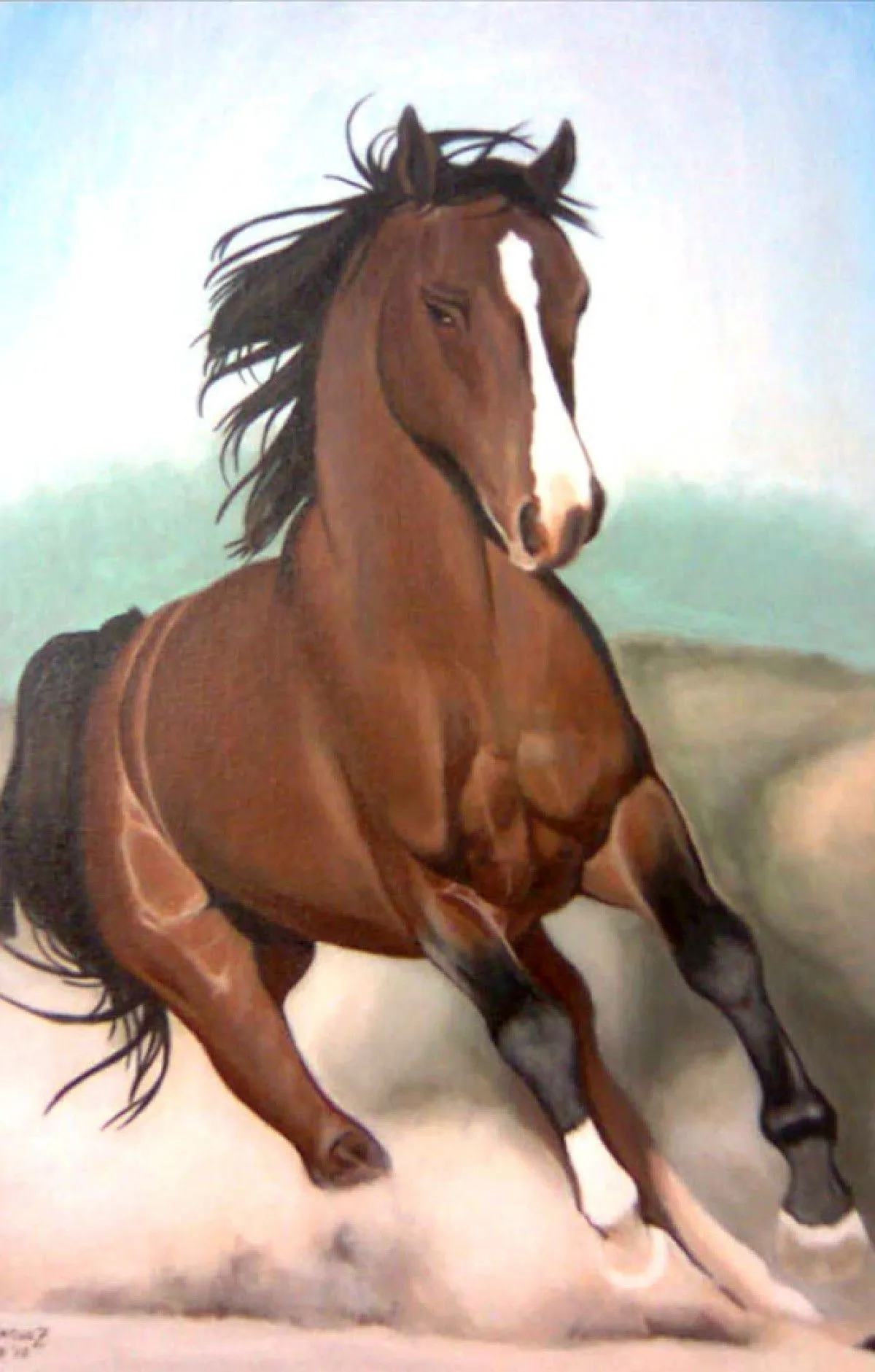 Arabian Horse, artwork by Ariel Dominguez