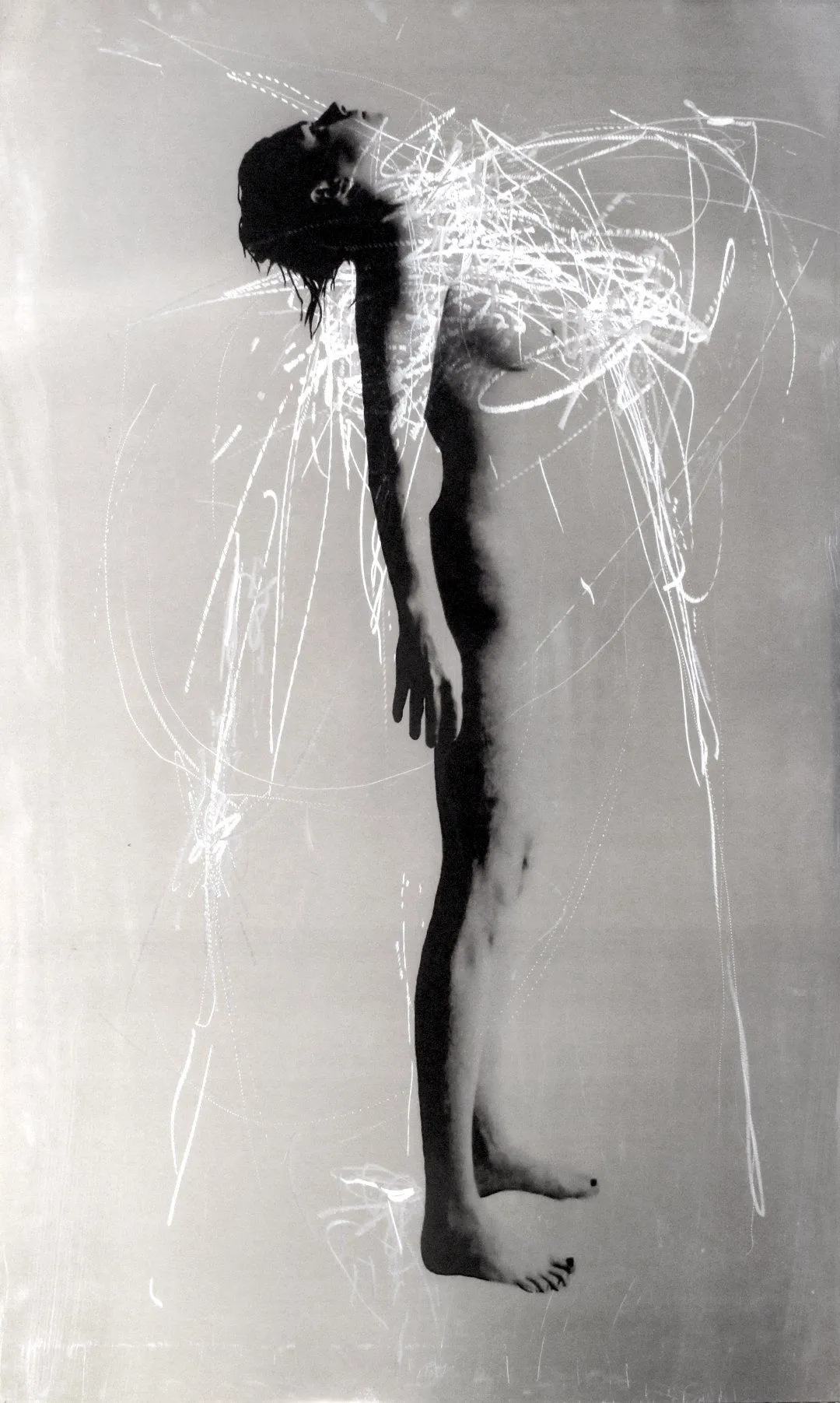 Noos, œuvre de Marie-Josée Roy