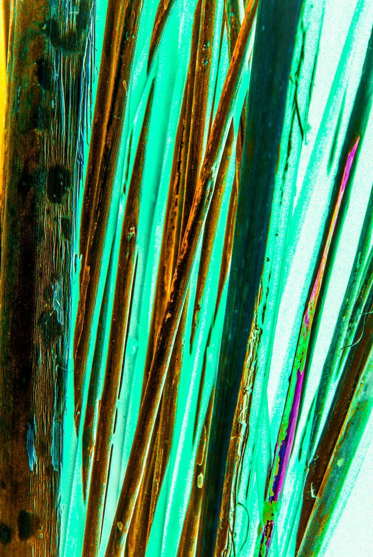 Sense, artwork by Patrick van