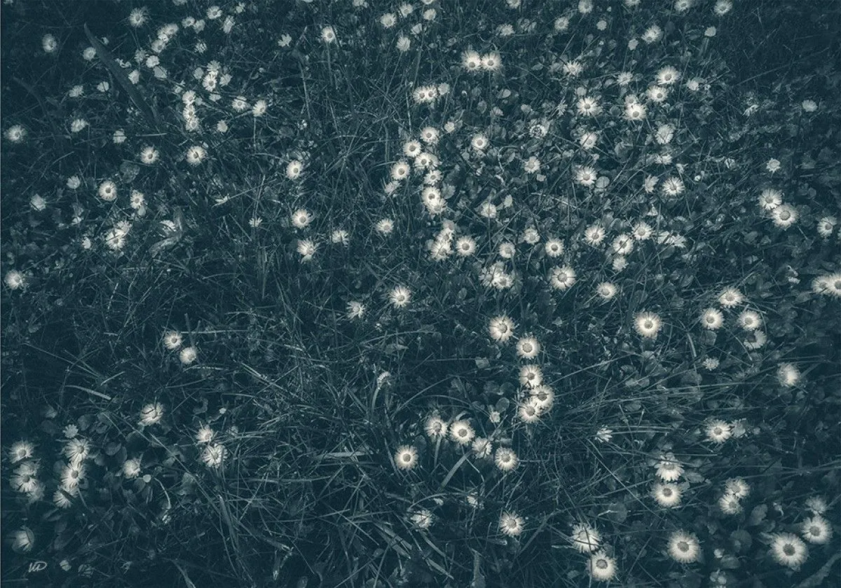 May 2016, œuvre de Iglena Rousseva