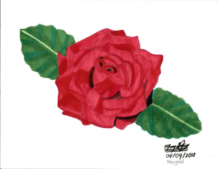 Rose, artwork by Margold Reina