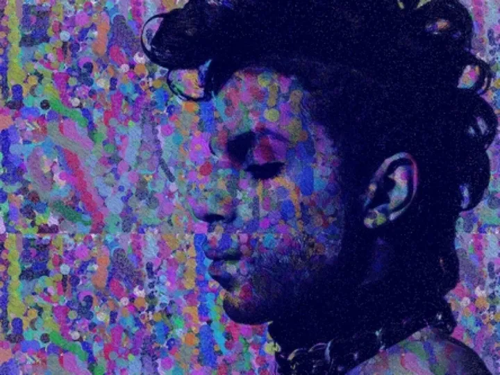 PRINCE, œuvre de LOREDANA ROMANO