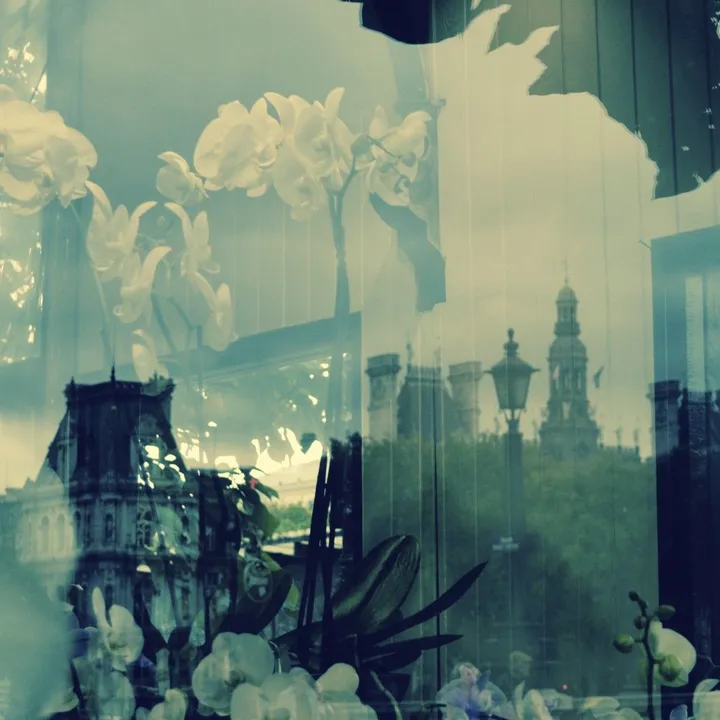 Paris toujours en fleurs, artwork by Irena Iris