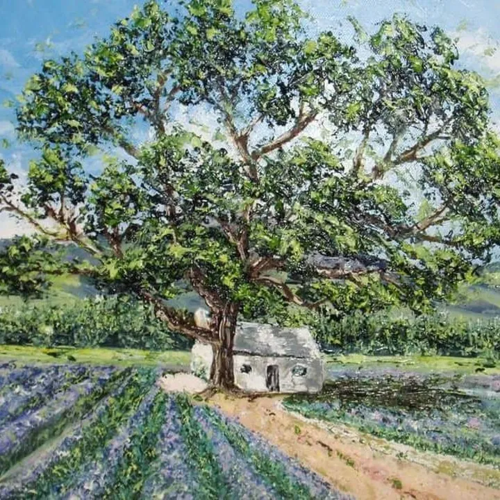 Cottage in Franschoek, artwork by Cristel Brugger