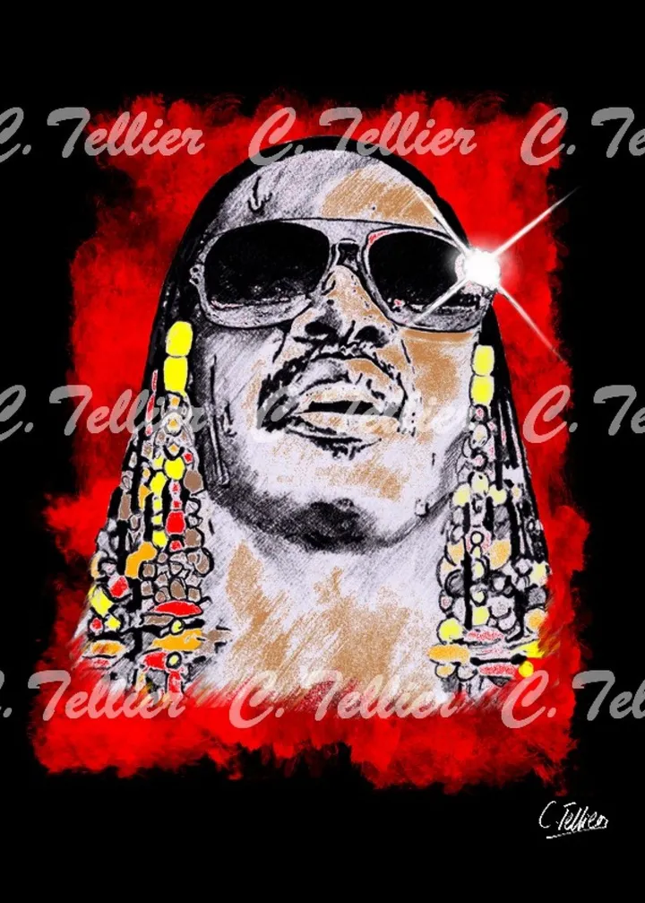 Stevie Wonder, œuvre de Tellier Christophe