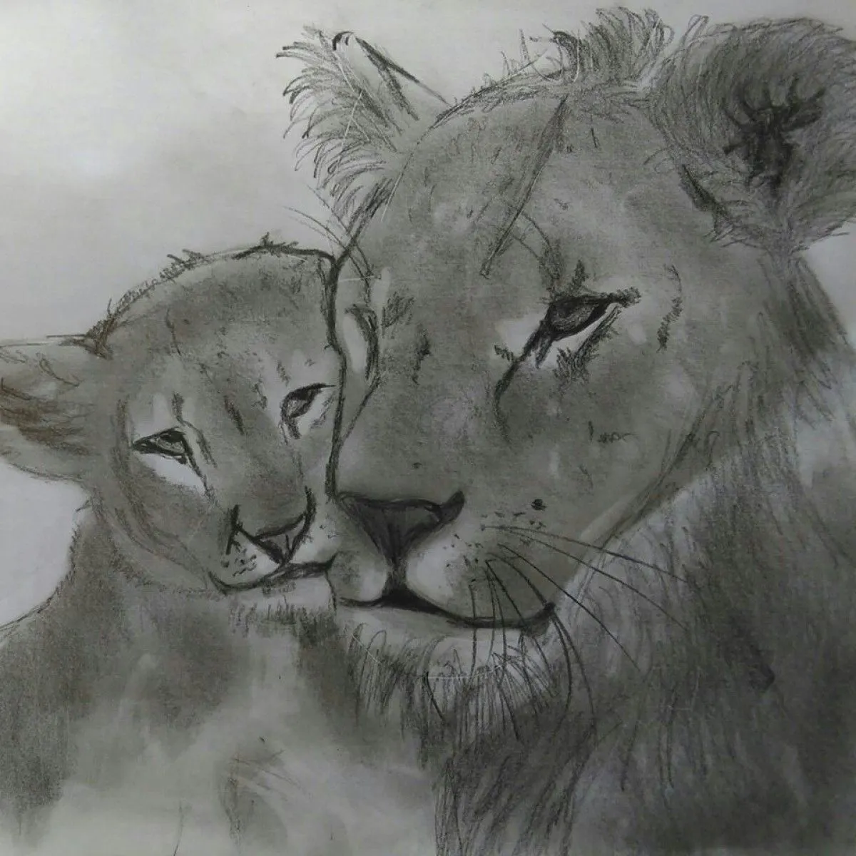 cuddle time, œuvre de Lauren Fick