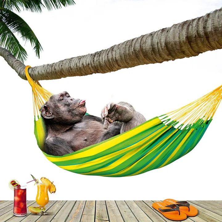 Happy monkey in hammock with cocktail, œuvre de Anatolii TOMOIANU