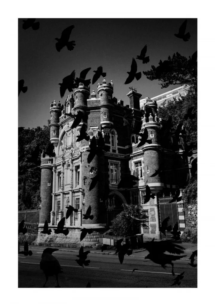 Château des Gadelles, œuvre de Miguel Duvivier