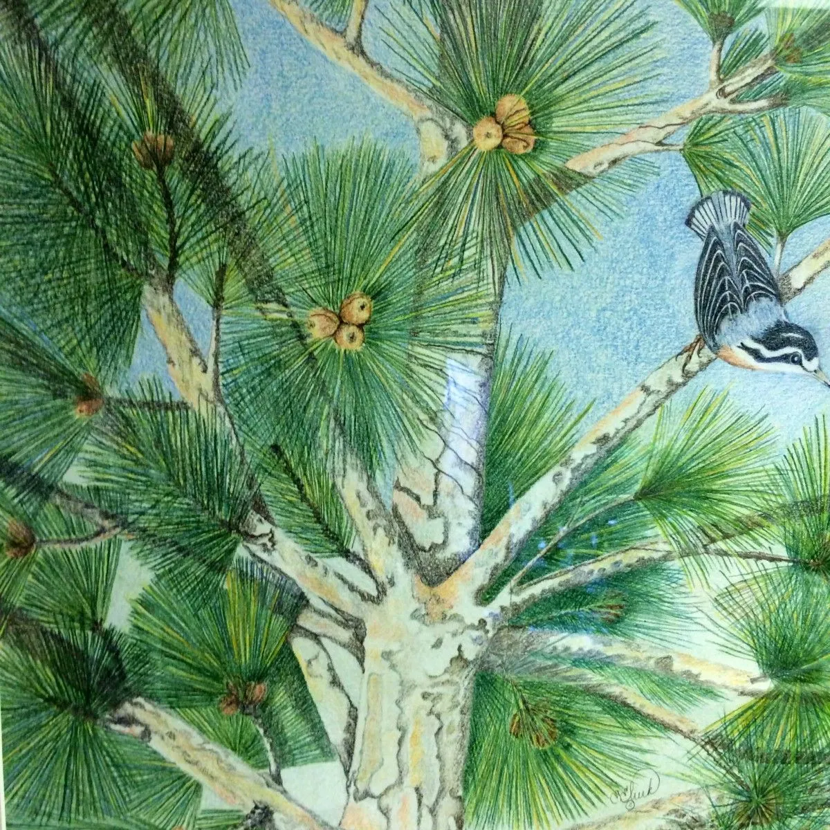 Out on a limb, artwork by Elizabeth Eliuk