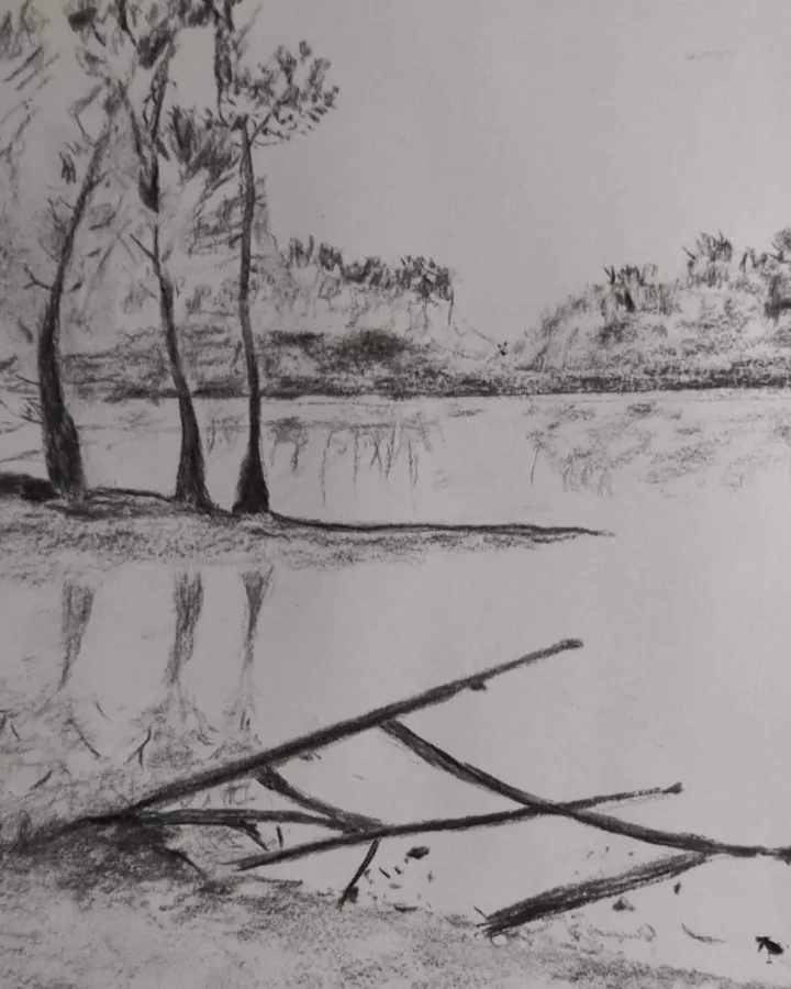 Au bord du lac, artwork by Laurent Rebondy