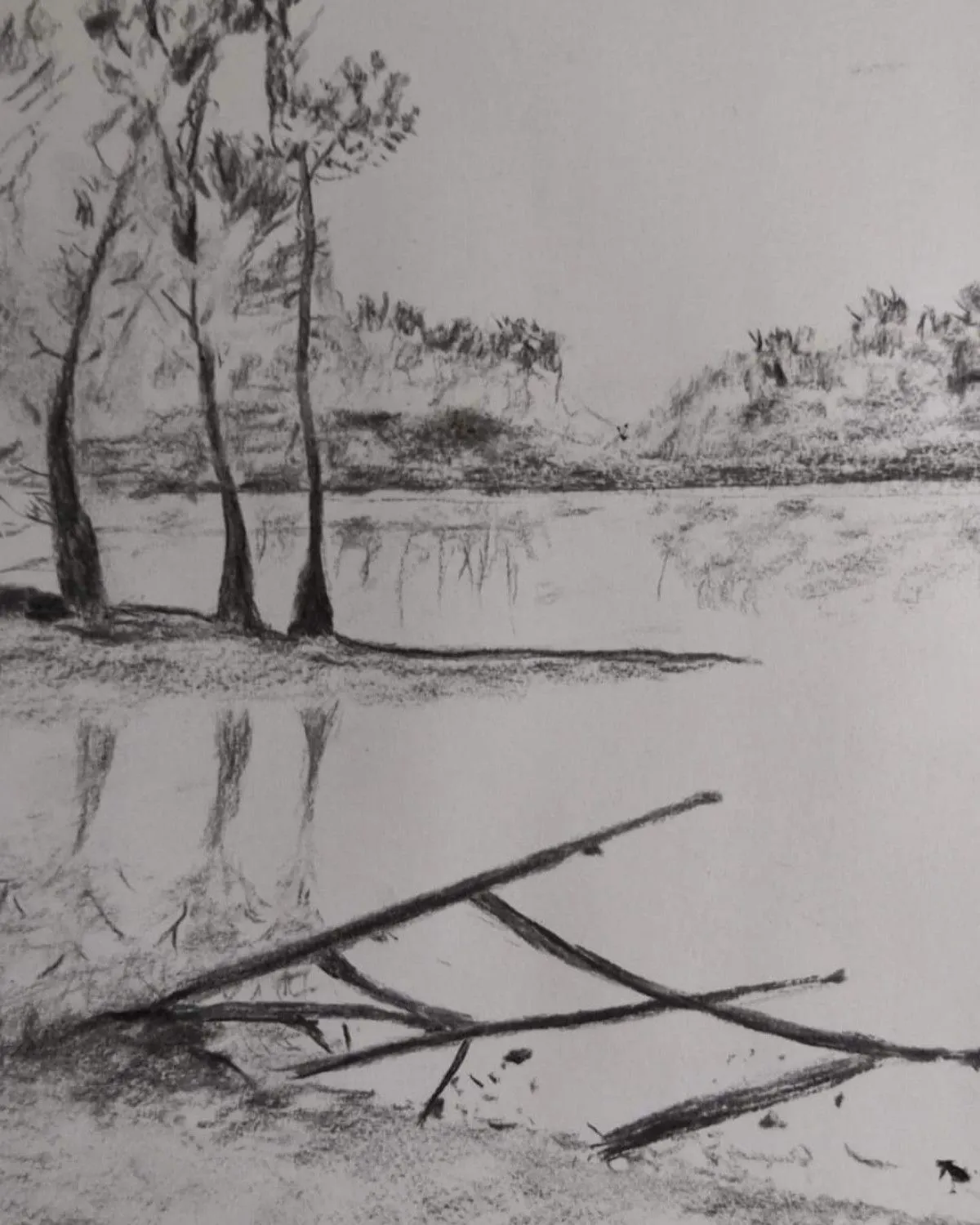 Au bord du lac, artwork by Laurent Rebondy