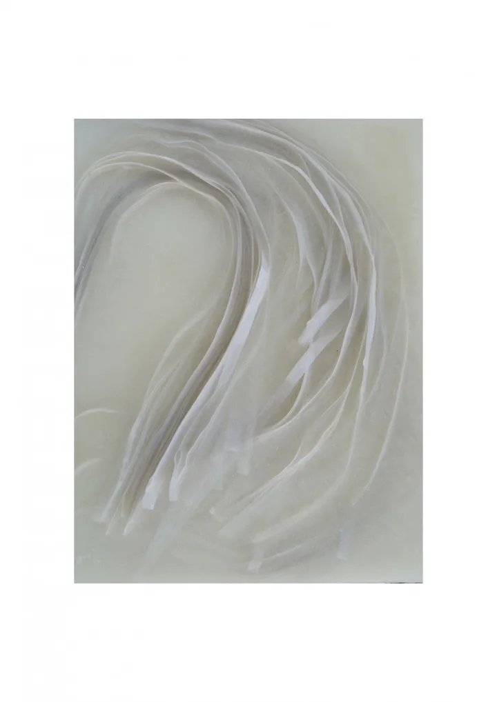 algas 2, œuvre de beatriz cárcamo