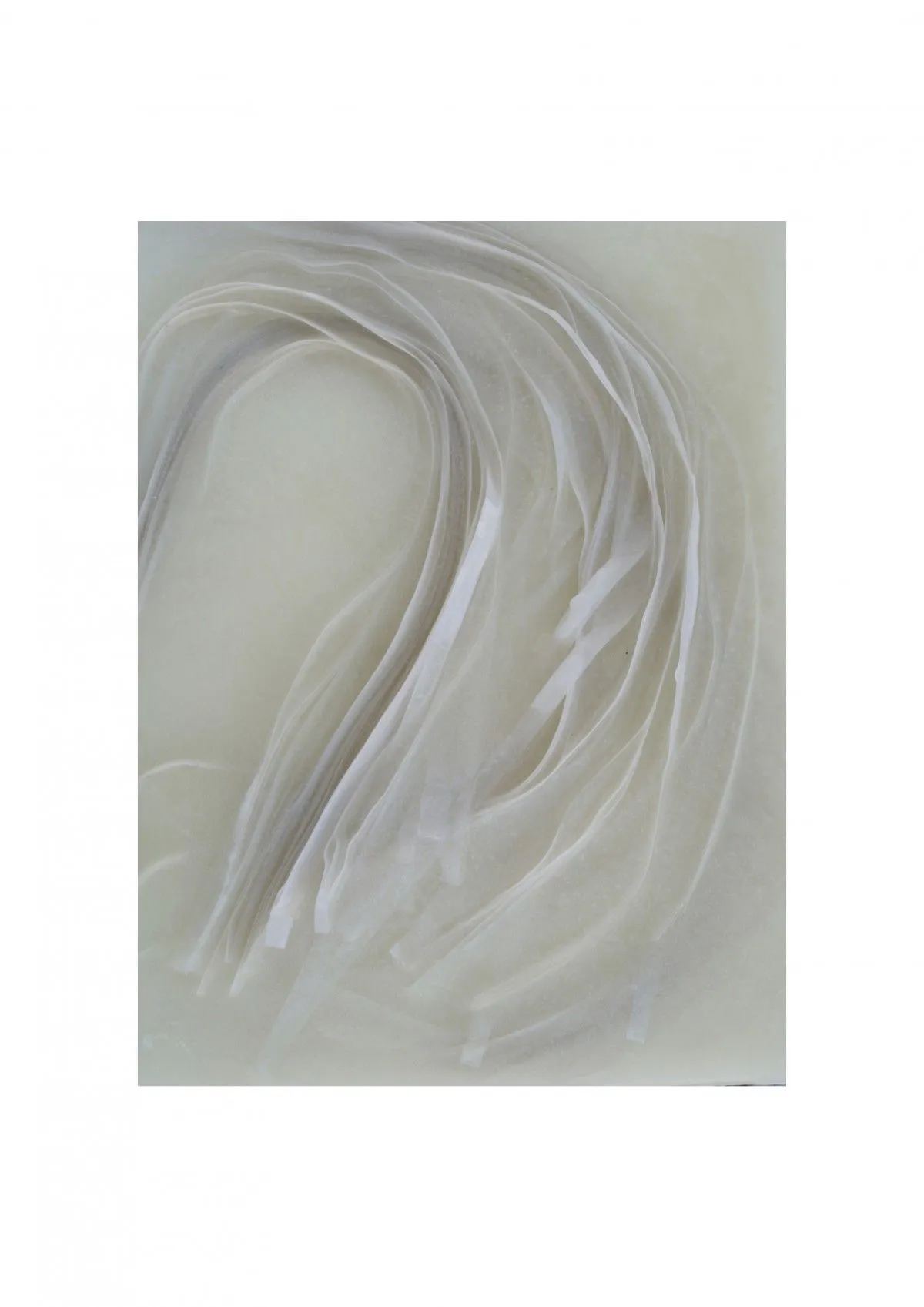 algas 2, artwork by beatriz cárcamo