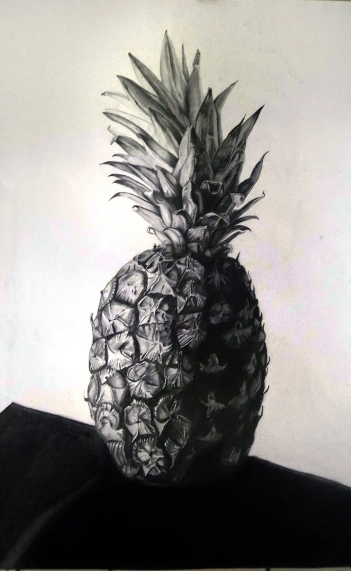 Pineapple, œuvre de Grigoras Emilia