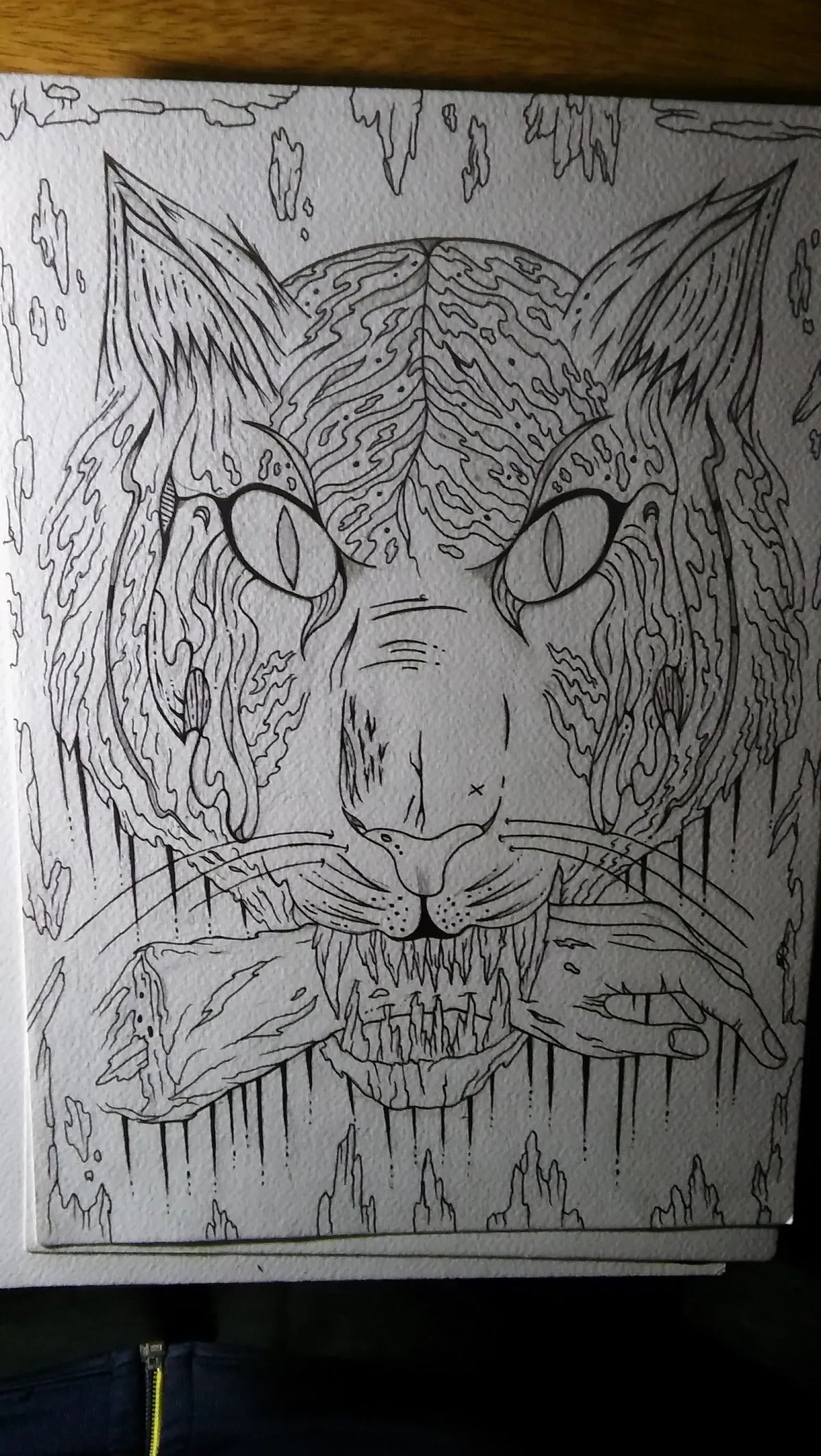 Tiger, œuvre de Pablo Benitez